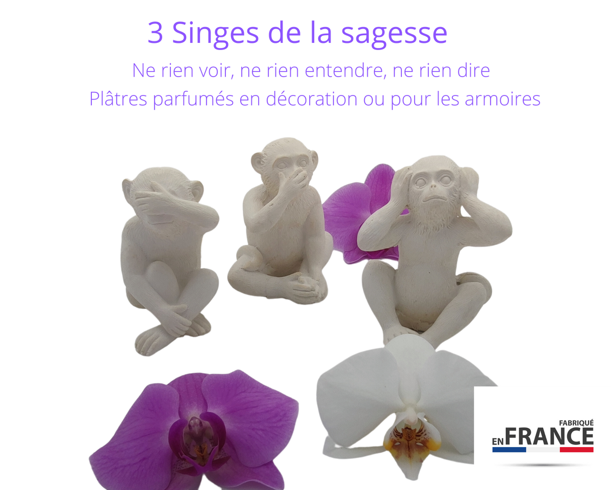 3 singes de la sagesse