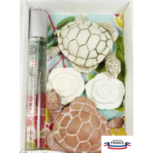 Coffret découverte 40 ml + 2 tortues + 2 fleurs